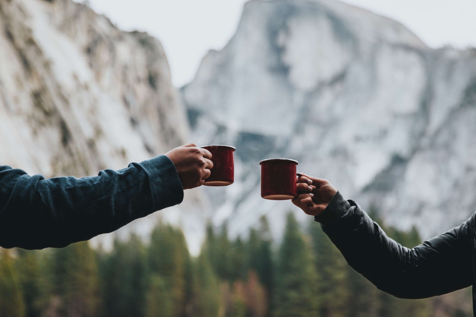 Two people holding coffee bugs with mountains and trees in the background.
